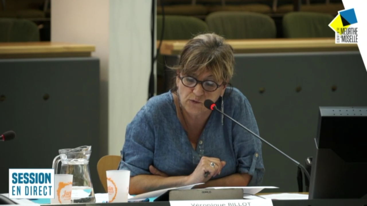 Intervention de Véronique BILLOT sur le Plan départemental d’action pour le logement et l’hébergement des personnes en difficulté (PDALHPD)